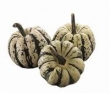 courge, sweet dumpling 