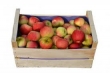 pomme Spartan (35 livres) 