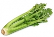 celery 