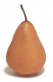pear, Bosc 