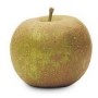 pomme, russet 