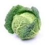 cabbage, Savoy 