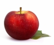 pomme, Lobo 