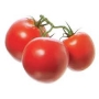 tomate sur vigne 