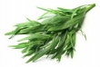 tarragon, fresh 