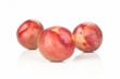 prune pluot 