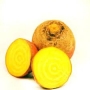 betterave jaune 