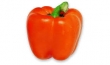 pepper, orange 