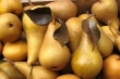 pear, Bosc (bagged) 