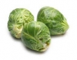 brussel sprout 