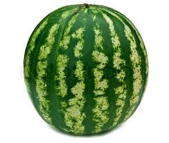 melon d'eau jaune-1