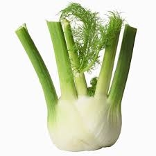 fennel-1