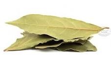 bay-leaf-1