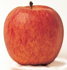apple, Gala-1