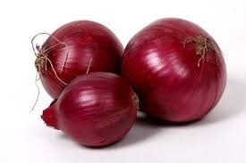 onion, red-1
