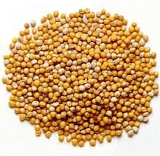 mustard-seed-1