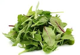 laitue mesclun-1