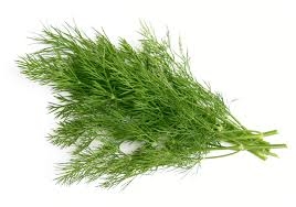 dill-1