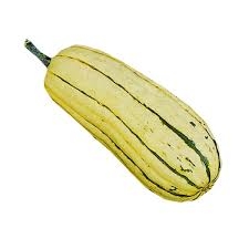 squash , delicata-1