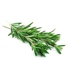 rosemary, fresh-1