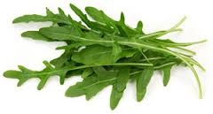 laitue bébé, arugula-1