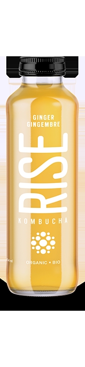 kombucha Thé Blanc et Gingembre-1