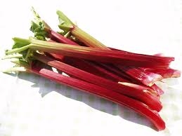 rhubarbe-1