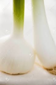 garlic (cello)-1