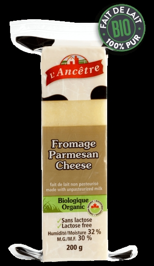 fromage, parmesan-1
