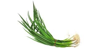 green onion-1