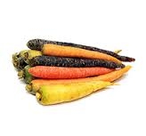 carrots, multicolor-1