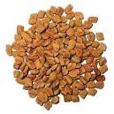 fenugreek-seed-1