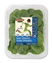 lettuce baby spinach-1