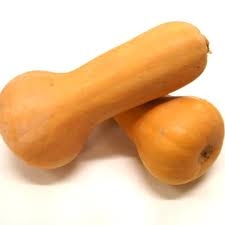 squash, Butternut-1