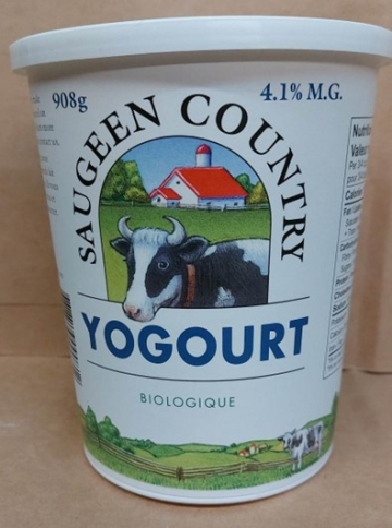 Yogourt, plain-1