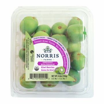 Baies de kiwi-1