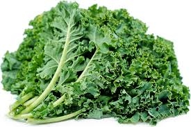 kale, green-1