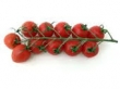 tomato cherry on vine 