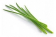 chive, fresh 