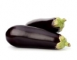 eggplant 