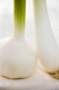 garlic (cello) 