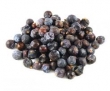 juniper berry 