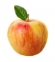 pomme honeycrisp 