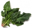 spinach 